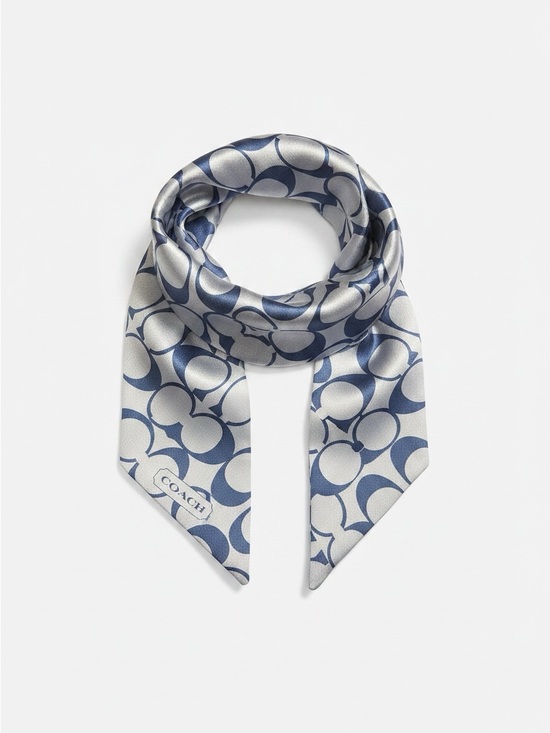 Coach Accessories - COACH Blue and White Monogram Silk Neck Scarf